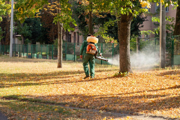 Bird Control in Winnsboro, LA