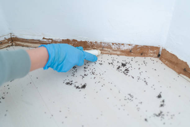Best Affordable Pest Control Services  in Winnsboro, LA